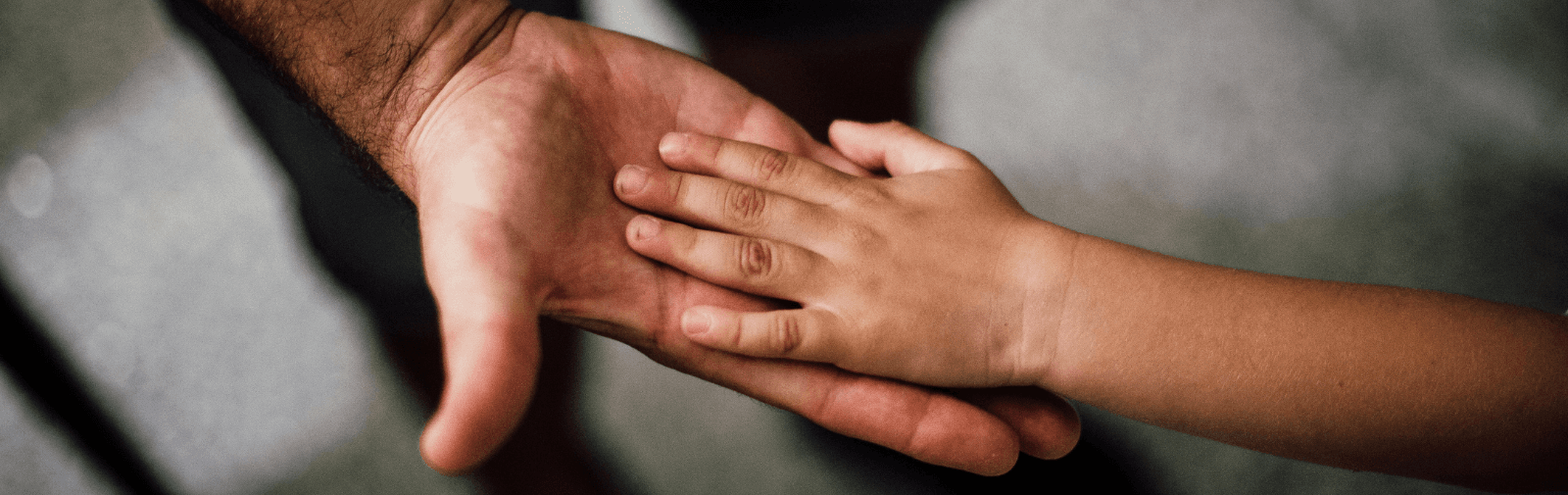 Curs de Taller de Consciència Sistèmica amb Bibi Schreuder guiat per Bibi Schreuder